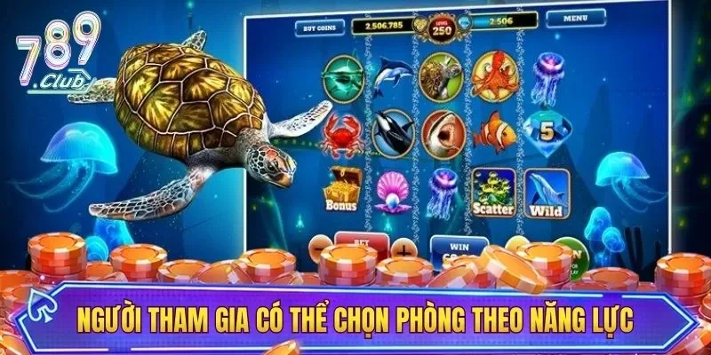 Người tham gia có thể chọn phòng theo năng lực