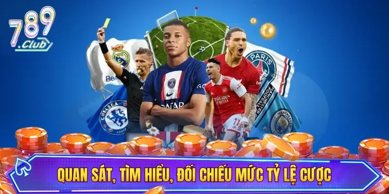 Quan sát, tìm hiểu, đối chiếu mức tỷ lệ cược