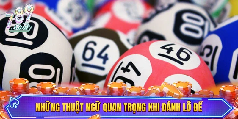 Những thuật ngữ quan trọng bạn cần biết khi đánh lô đề