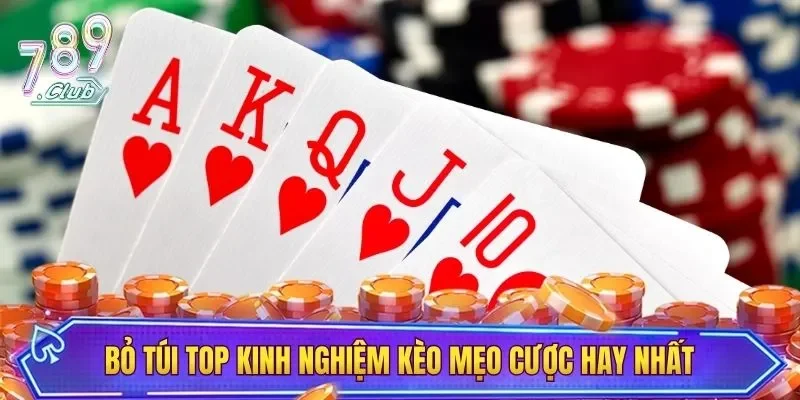 Bỏ túi top kinh nghiệm kèo mẹo cược hay nhất